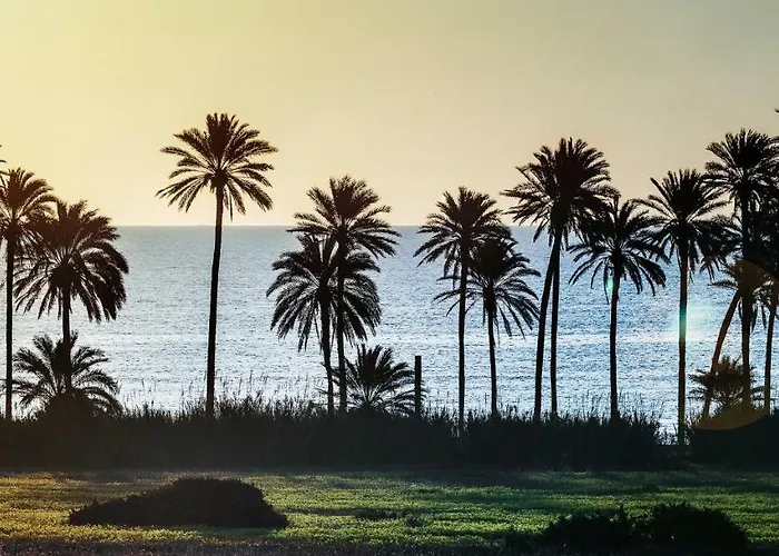 Laguna Salada Lejlighedshotel Torrevieja